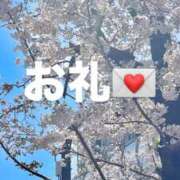 ヒメ日記 2025/04/06 12:05 投稿 みすず 奴隷コレクション