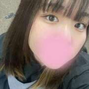 ヒメ日記 2025/11/15 22:21 投稿 みすず 奴隷コレクション