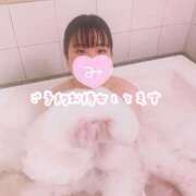 ヒメ日記 2026/02/19 09:21 投稿 みすず 奴隷コレクション