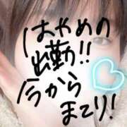 ヒメ日記 2026/02/20 10:40 投稿 みすず 奴隷コレクション