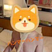 ヒメ日記 2025/04/17 09:17 投稿 ゆき 赤坂美療