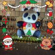 ヒメ日記 2025/12/23 06:48 投稿 ゆき 赤坂美療