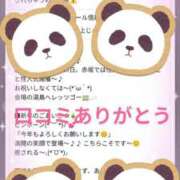 ヒメ日記 2026/01/16 14:44 投稿 ゆき 赤坂美療