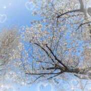 ヒメ日記 2026/04/02 06:51 投稿 ゆき 赤坂美療