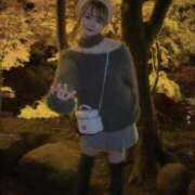 ヒメ日記 2024/12/19 16:14 投稿 しろな チューリップ福井本館