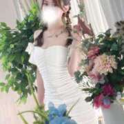 ヒメ日記 2025/08/09 08:34 投稿 しろな チューリップ福井本館