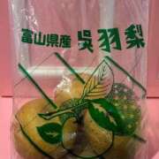 ヒメ日記 2025/09/13 00:17 投稿 しろな チューリップ福井本館