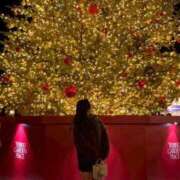 しろな もうすぐクリスマス🎄 チューリップ福井本館