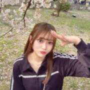 ヒメ日記 2025/04/15 17:54 投稿 しろな チューリップ福井別館