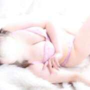 ヒメ日記 2025/05/02 13:27 投稿 しろな チューリップ福井別館