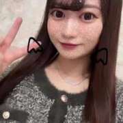 ヒメ日記 2025/05/06 12:50 投稿 しろな チューリップ福井別館