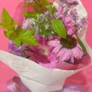 ヒメ日記 2025/07/10 22:24 投稿 しろな チューリップ福井別館