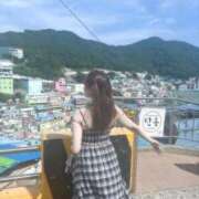 ヒメ日記 2025/09/17 01:44 投稿 しろな チューリップ福井別館