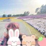 ヒメ日記 2025/05/12 13:01 投稿 せつな [優良人妻店]セレブスタイル（山口～防府～萩）