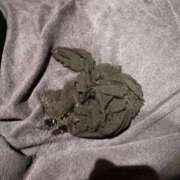 ヒメ日記 2025/03/04 18:35 投稿 さら 中洲秘密倶楽部