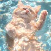 ヒメ日記 2025/03/23 19:25 投稿 さら 中洲秘密倶楽部