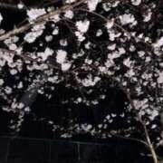 ヒメ日記 2025/03/29 22:40 投稿 さら 中洲秘密倶楽部