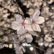 ヒメ日記 2025/04/05 19:05 投稿 さら 中洲秘密倶楽部