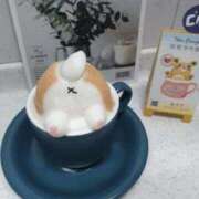 ヒメ日記 2025/11/17 07:55 投稿 さら 中洲秘密倶楽部