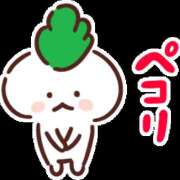 ヒメ日記 2025/04/08 08:09 投稿 かすみ 熟女総本店 堺東店