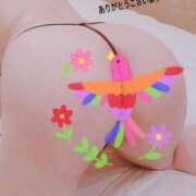 ヒメ日記 2025/03/03 09:19 投稿 瀬戸（せと） 丸妻 錦糸町店