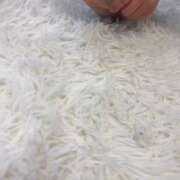 ヒメ日記 2025/11/23 07:02 投稿 瀬戸（せと） 丸妻 錦糸町店