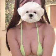 ヒメ日記 2025/06/27 07:15 投稿 えま コルドンブルー