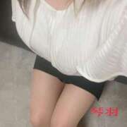 ヒメ日記 2025/08/19 11:09 投稿 琴羽(ことは) 札幌人妻マドンナ