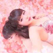 ヒメ日記 2025/02/18 07:46 投稿 かんな 鹿鳴館