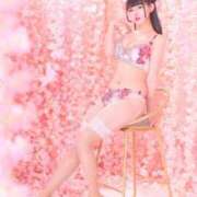 ヒメ日記 2025/04/11 14:56 投稿 かんな 鹿鳴館