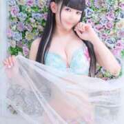 ヒメ日記 2025/04/23 11:01 投稿 かんな 鹿鳴館