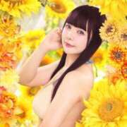 ヒメ日記 2025/08/01 09:36 投稿 かんな 鹿鳴館