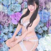 ヒメ日記 2025/08/15 10:26 投稿 かんな 鹿鳴館