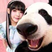 ヒメ日記 2025/11/01 00:06 投稿 かんな 鹿鳴館