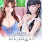 ヒメ日記 2025/11/24 10:10 投稿 かんな 鹿鳴館