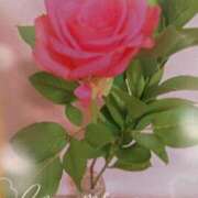 ヒメ日記 2024/12/26 22:26 投稿 鎌田 由里 こあくまな熟女たち 静岡店（KOAKUMAグループ）