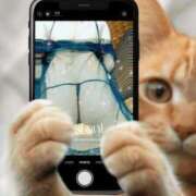 ヒメ日記 2025/02/09 19:48 投稿 鎌田 由里 こあくまな熟女たち 静岡店（KOAKUMAグループ）