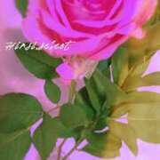 ヒメ日記 2025/03/22 06:50 投稿 鎌田 由里 こあくまな熟女たち 静岡店（KOAKUMAグループ）