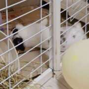 ヒメ日記 2025/04/19 09:50 投稿 鎌田 由里 こあくまな熟女たち 静岡店（KOAKUMAグループ）