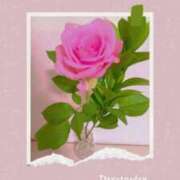 ヒメ日記 2025/04/20 12:10 投稿 鎌田 由里 こあくまな熟女たち 静岡店（KOAKUMAグループ）