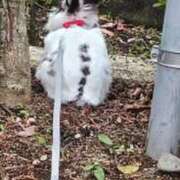 ヒメ日記 2025/05/25 21:07 投稿 鎌田 由里 こあくまな熟女たち 静岡店（KOAKUMAグループ）