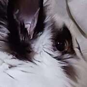 ヒメ日記 2025/09/27 10:47 投稿 鎌田 由里 こあくまな熟女たち 静岡店（KOAKUMAグループ）