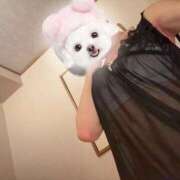 ヒメ日記 2025/09/13 09:46 投稿 りな コスパラ(梅田)