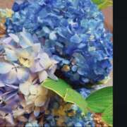 ヒメ日記 2025/05/25 13:29 投稿 白石　ゆうり PLATINA R-30（すすきの）