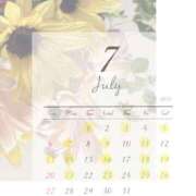 ヒメ日記 2025/07/01 07:28 投稿 白石　ゆうり PLATINA R-30（すすきの）