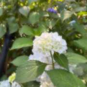 ヒメ日記 2025/07/08 11:29 投稿 白石　ゆうり PLATINA R-30（すすきの）