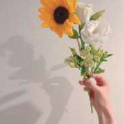 ヒメ日記 2025/07/11 09:28 投稿 白石　ゆうり PLATINA R-30（すすきの）