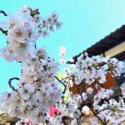 ヒメ日記 2026/04/09 09:33 投稿 白石　ゆうり PLATINA R-30（すすきの）