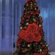 ヒメ日記 2025/12/25 11:14 投稿 有栖 ゆい こあくまな熟女たち 京都店(KOAKUMAグループ)