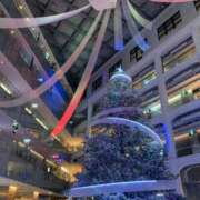 ヒメ日記 2024/12/24 19:31 投稿 サツキ マテリアル